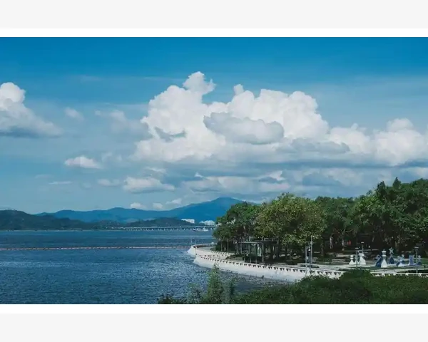 调理脾胃虚弱，孩子健康快乐成长